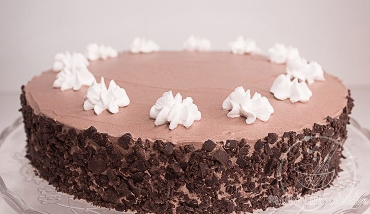 The Best Chocolate Cake Recipe {ever}